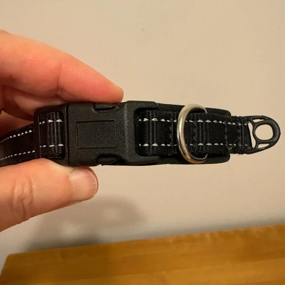 Mighty Paw Black Dog Collar - Neoprene Padded - Reflective for Running, Size S